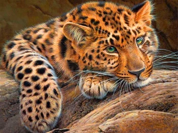 5D Diy Diamante Pintura, Ponto Cruz Resina Quadrado Strass Animal Leopard Inacabado Bordado a Decoração Home
