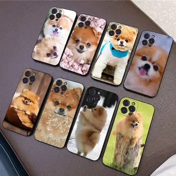 Pomeranian cachorros bonitos Caso de Telefone Para o iPhone 13 Pro MAX 14 11 12 Mini X XR XS 6 7 8 Plus SE de 2020 TPU Macio da Tampa